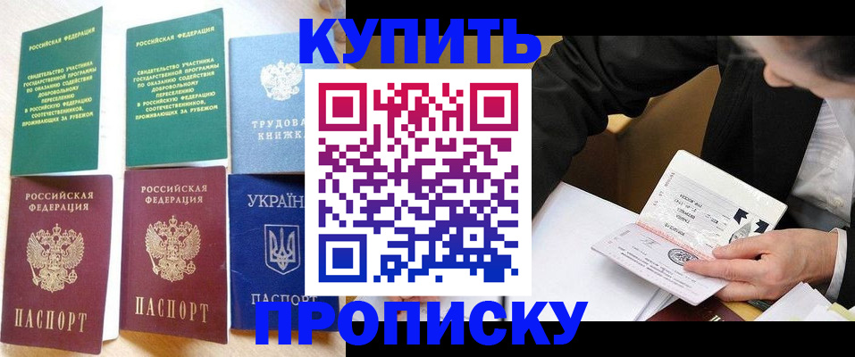 прописка для школы в Балтийске